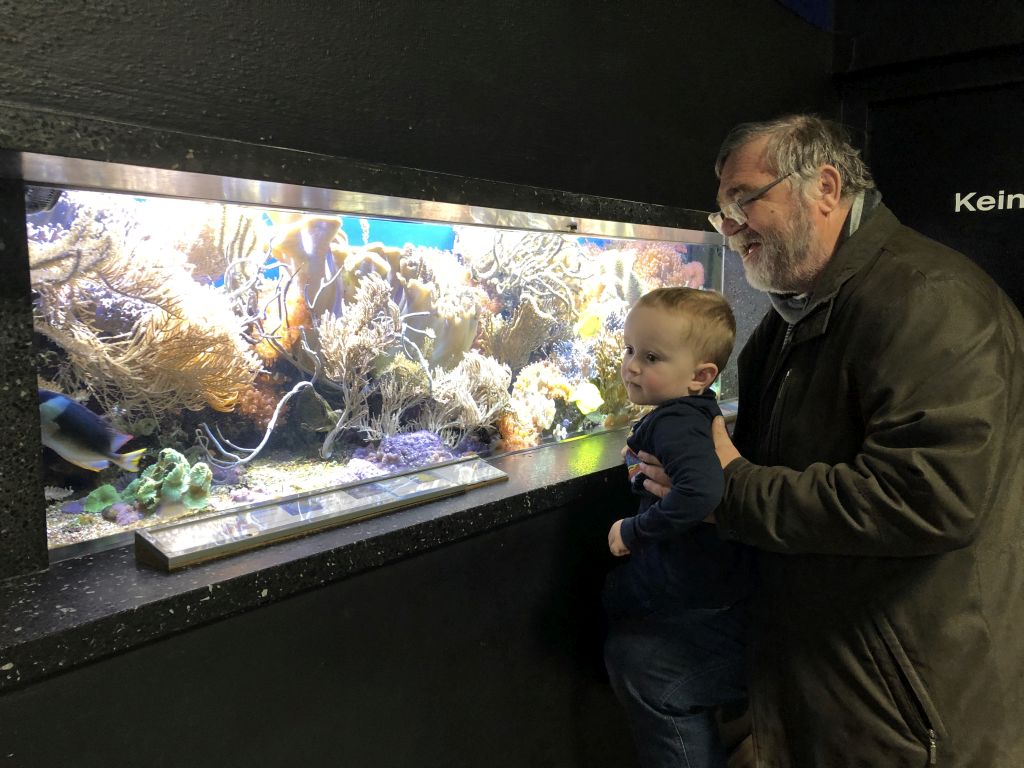 Aquariumbesuch Ulm